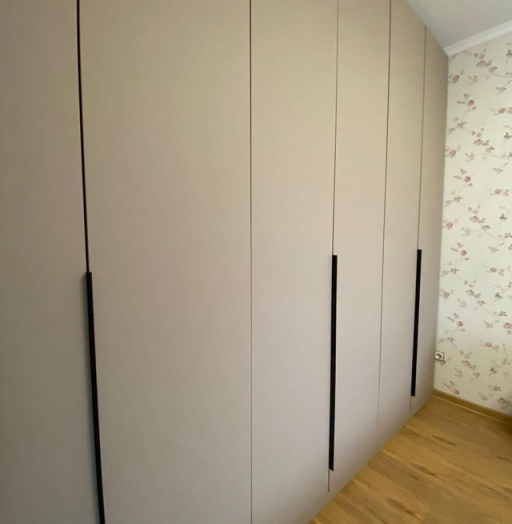 Встроенные распашные шкафы-Встроенный распашной шкаф «Модель 1»-фото5